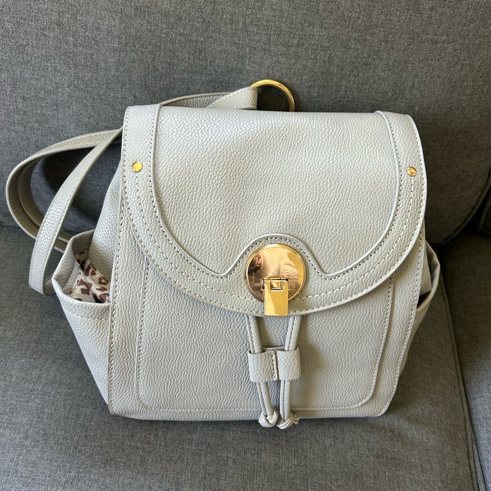 Elegant Gray Backpack